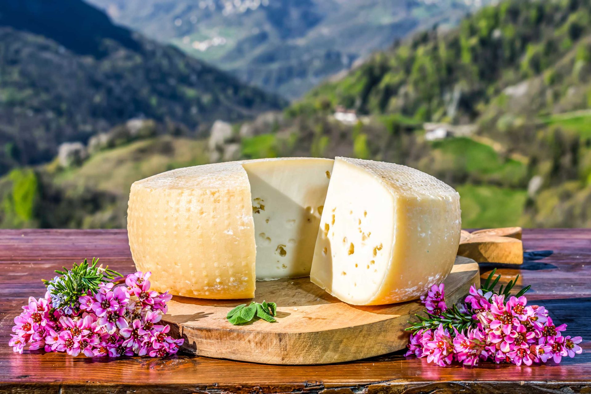 Piano sviluppo locale 2019 / 2028.